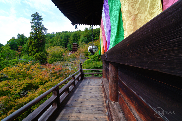 シグマ SIGMA 10-18mm F2.8 DC DN | Contemporary ／ 奈良 藤原